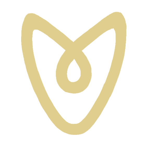 Vision Vault Logo